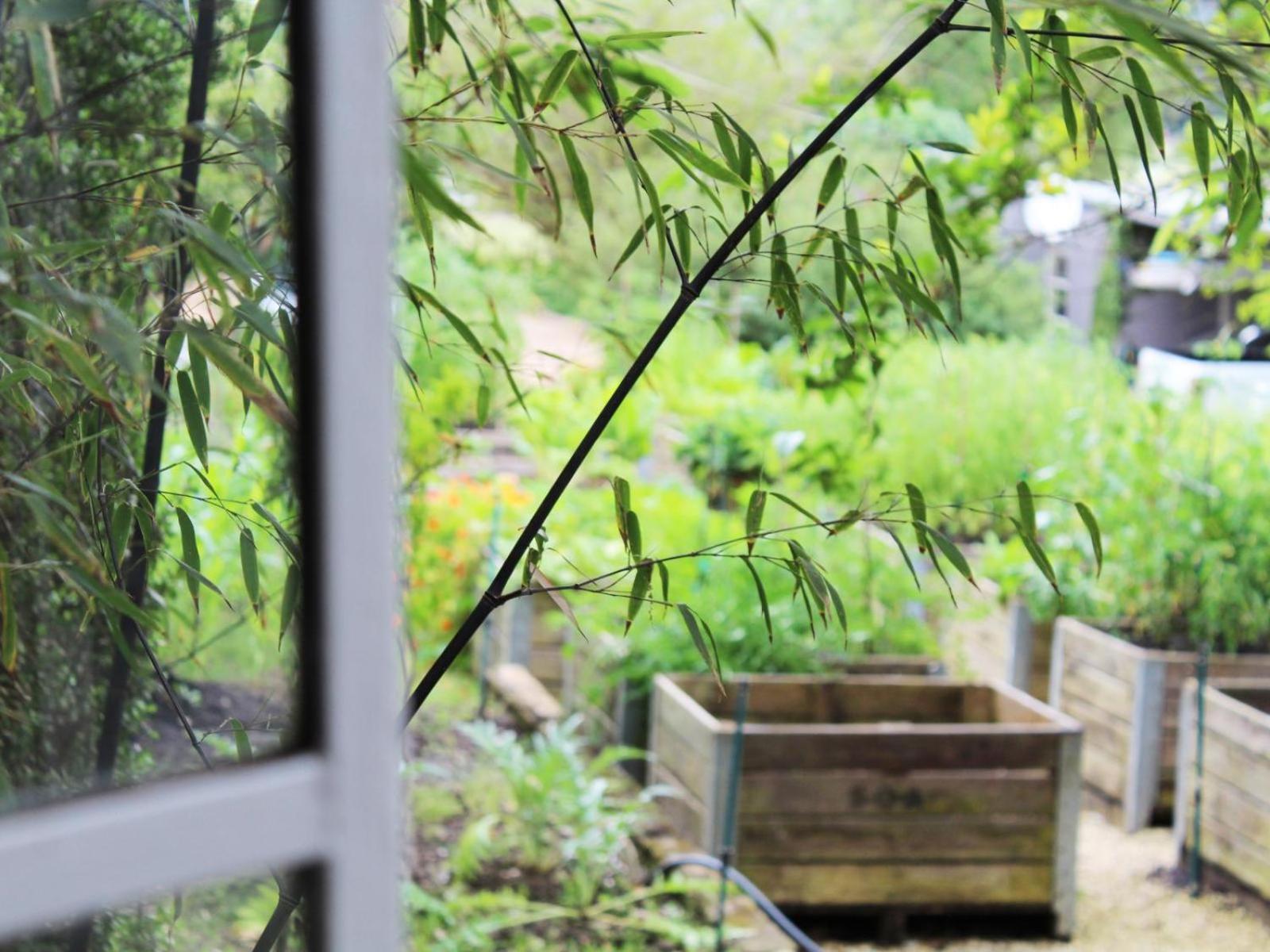 Arumvale Country Retreat Swellendam Quarto foto